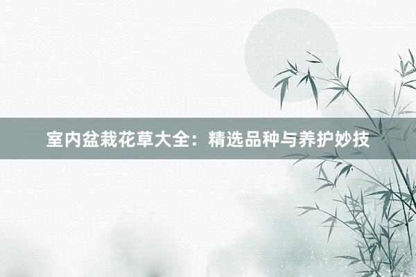 室内盆栽花草大全：精选品种与养护妙技